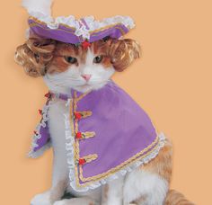 c959f72dd0747cd8ca6457426125d1f6--fashion-history-cat-outfit