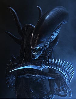 Xenomorph