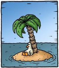 Duck_island_6227