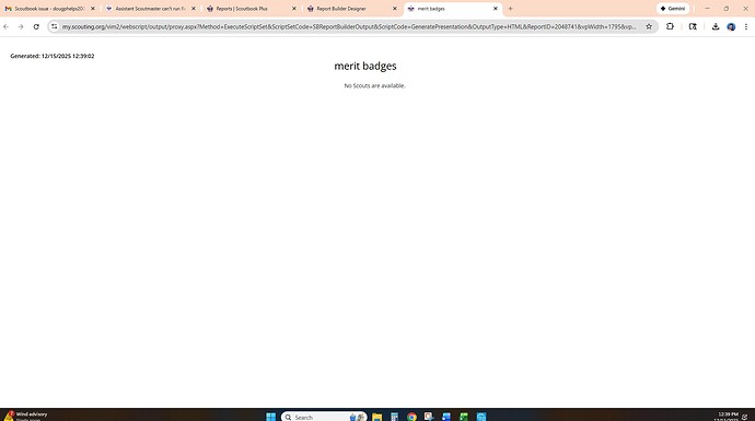 Screenshot 2025-12-15 123939