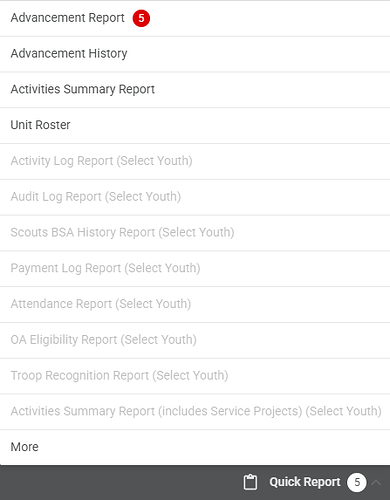 quick report