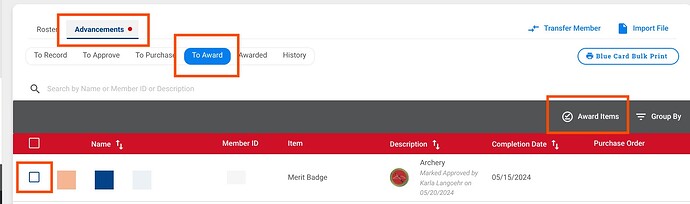 Scoutbook Plus Award 1