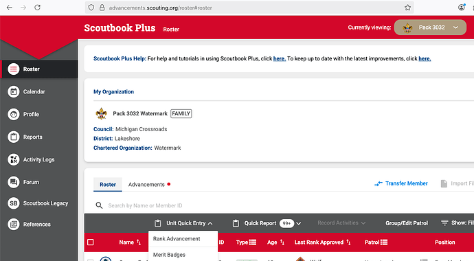 Screen Shot 2025-09-10 Cub Scouts earning Merit Badges and Troop Rank Advancement