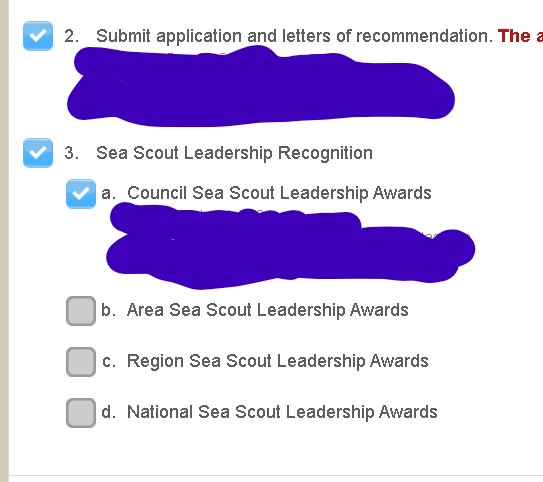 Sea Scout Youth Leadership Award Screenshot 2