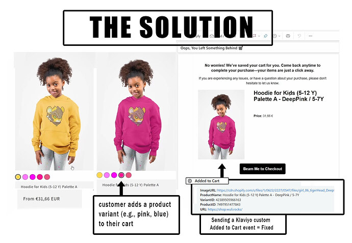 the_solution