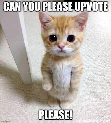 up-vote-cat