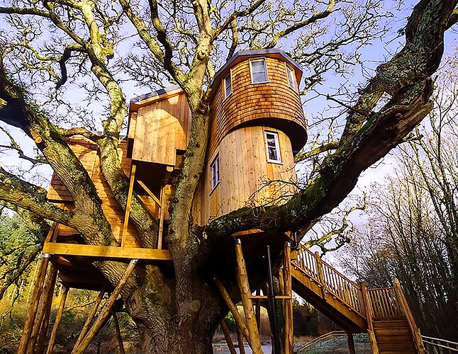 Treehouse One
