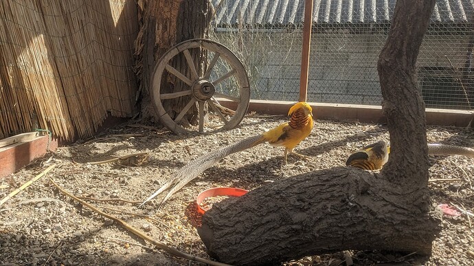 PXL_20250306_112857580