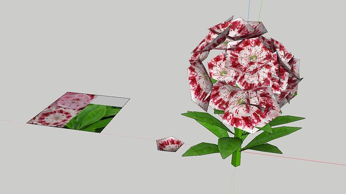 floare-03
