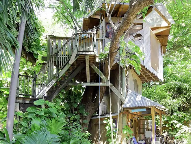 Treehouse Four