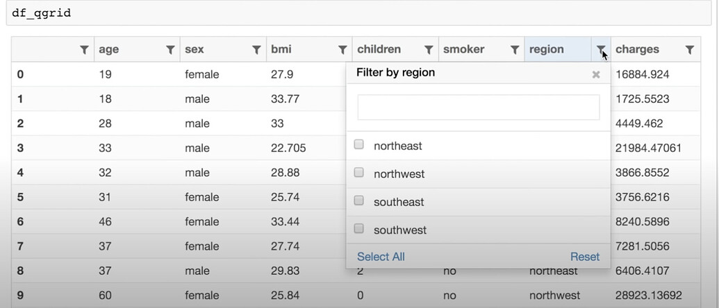 Excel-like Filtering in Pandas Dataframe - Using Streamlit - Streamlit