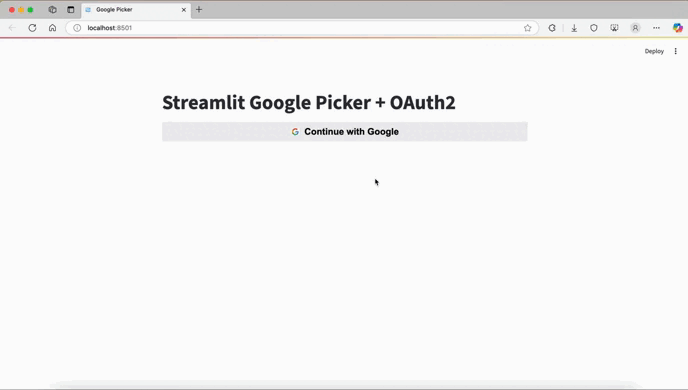Example of the Streamlit Google Picker in action