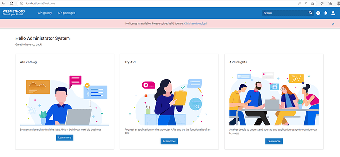 api_portal_License