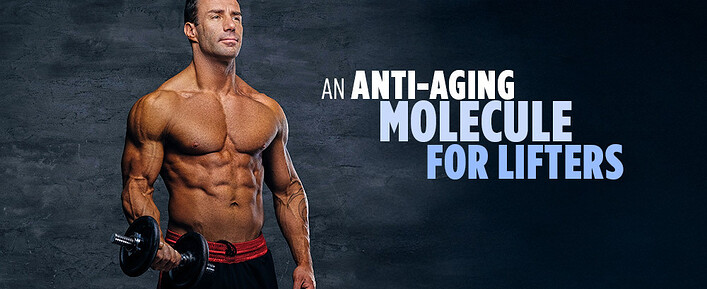 Anti-Aging Molecule