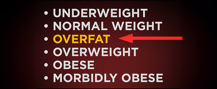 Obesity Scale
