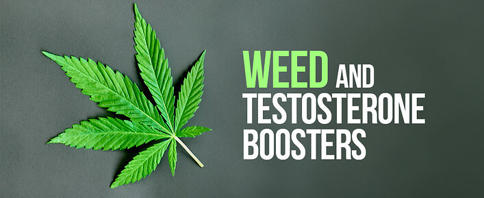 Weed and Testosterone Boosters