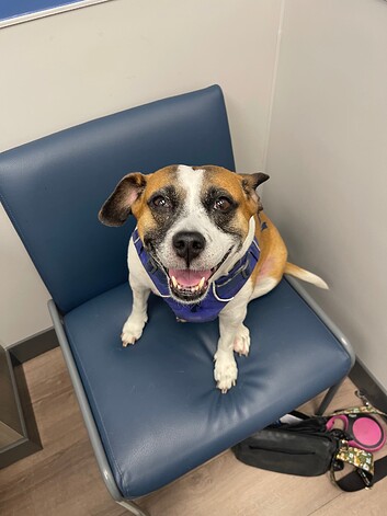Smiley Girl