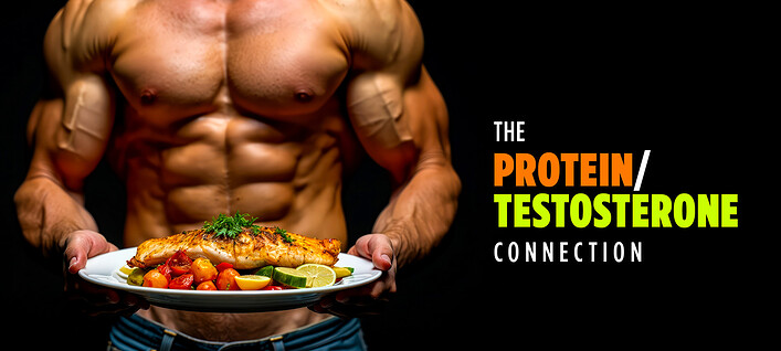 Protein-Testosterone-Connection