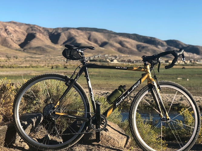 BlueCXc2