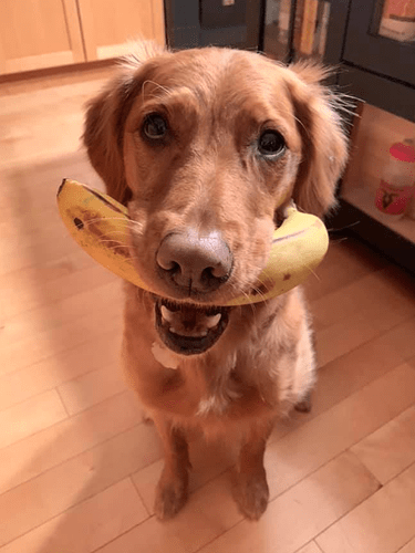Riot Banana