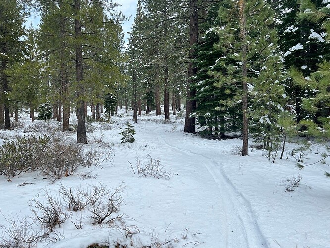 truckee snow 2