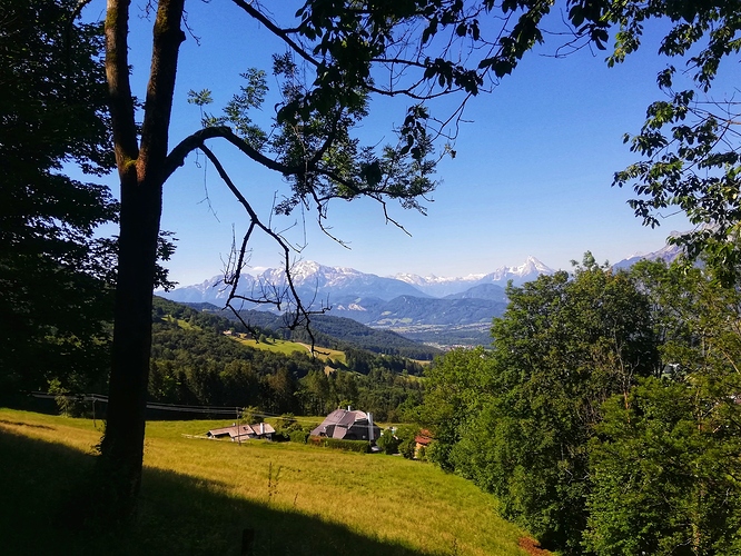 IMG_20200613_093842-02