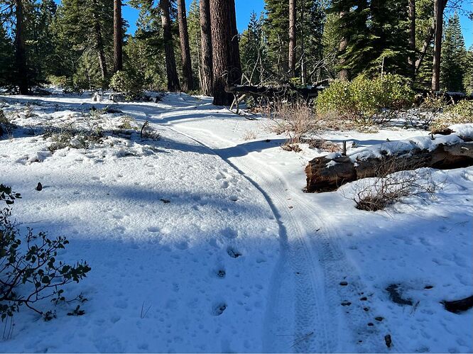 truckee snow