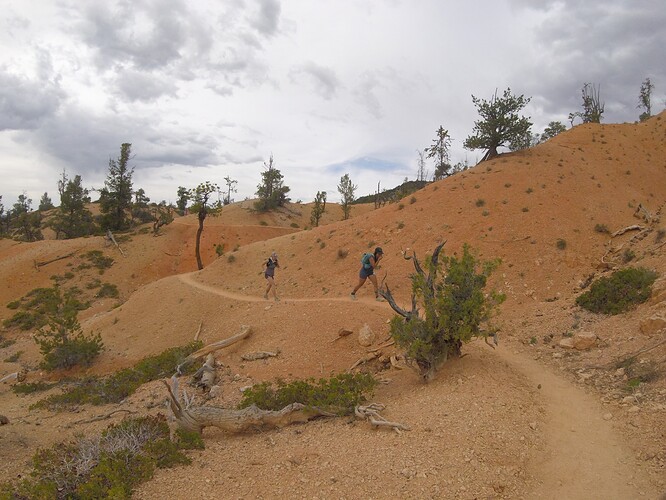 Bryce pacing 5-30-21