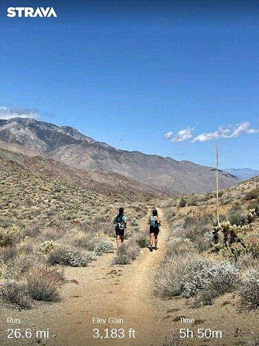 strava4625987105148871040