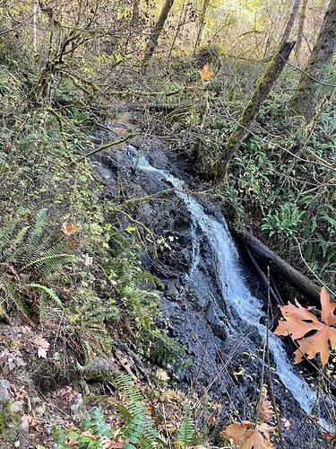 Epic - Waterfall