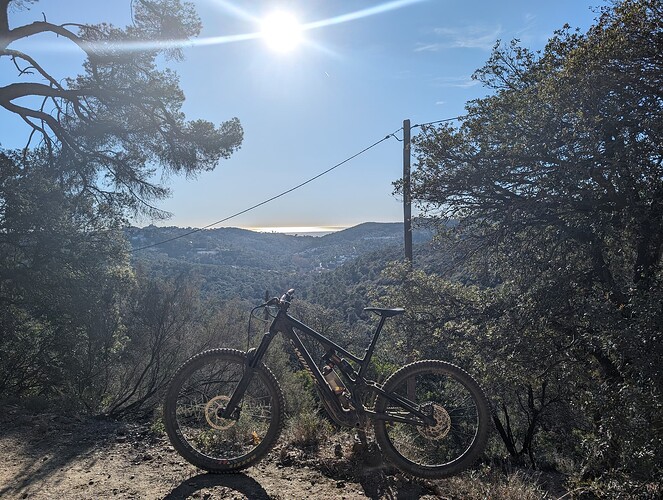 PXL_20231215_132829297