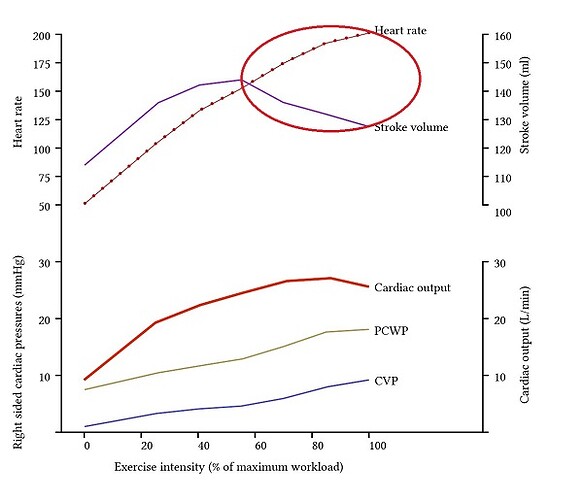 Changes in cardiovascular parameters with exercise