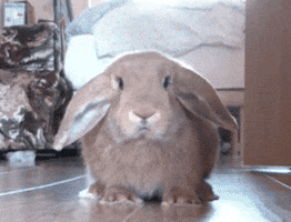 Scared Bye Bye GIF - Find & Share on GIPHY