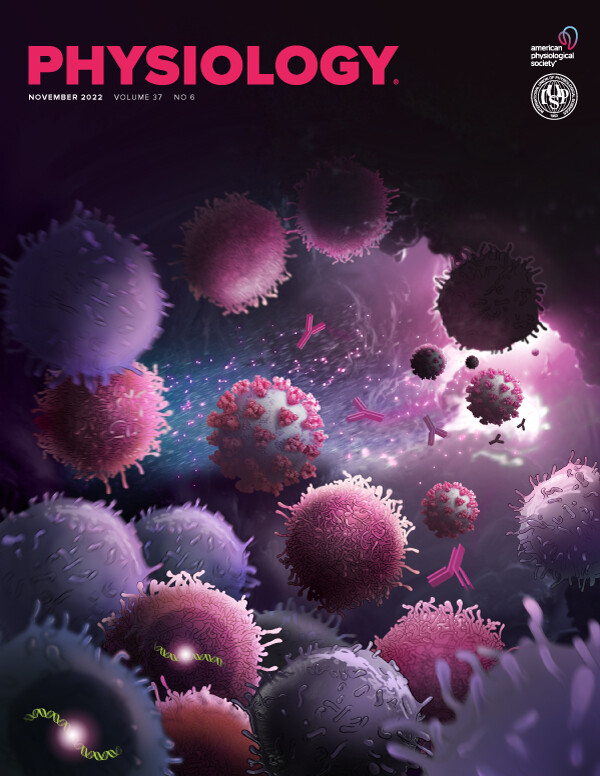 Long slow endurance for mitochondria building Training TrainerRoad