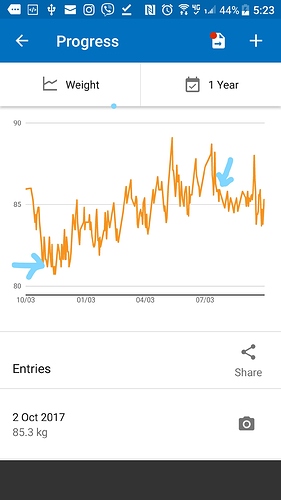 171002 - Weight Graph 1 year