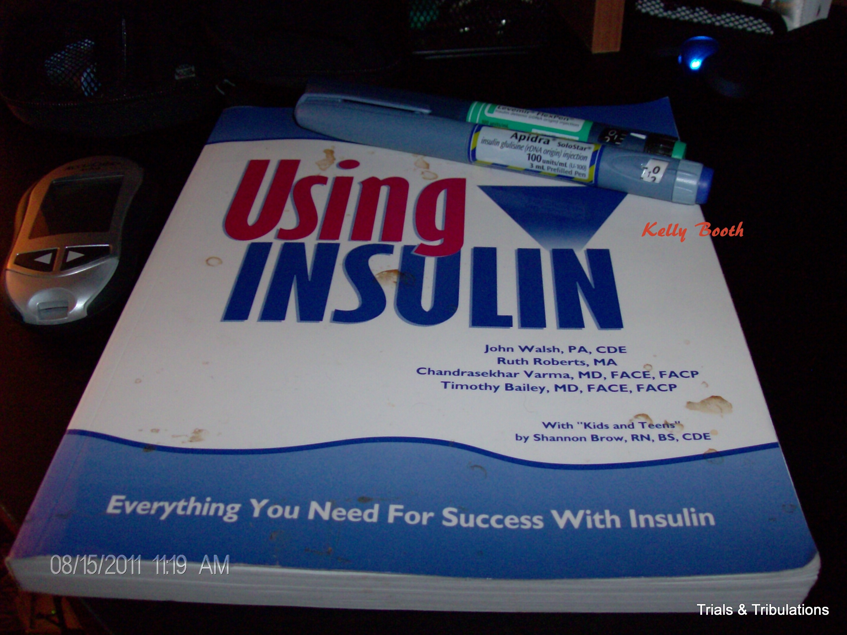 Using Insulin by John Walsh