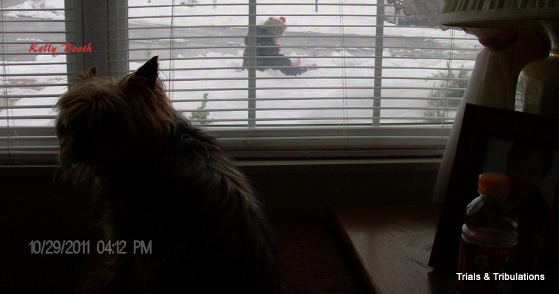 Little girl sitting in snow