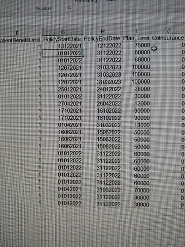 A spreadsheet displaying various policy details including start dates, end dates, plan limits, and coinsurance values. (Captioned by AI)