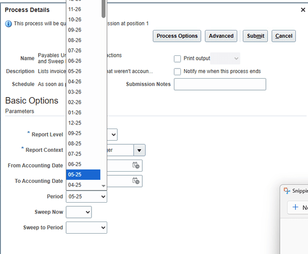 This image shows a detailed form setup interface with options to configure a periodic report in an accounting or payment system. (Captioned by AI)