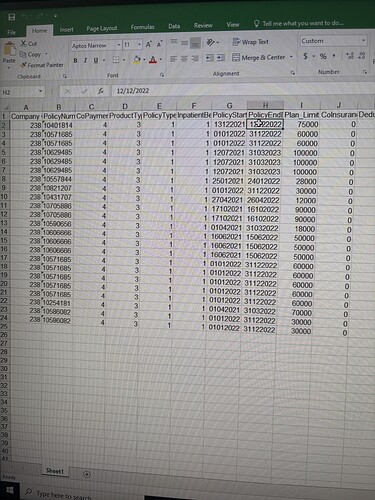 A spreadsheet displaying various insurance policy details including company, policy number, copay, product type, policy start and end dates, plan limit, and deductible amounts. (Captioned by AI)