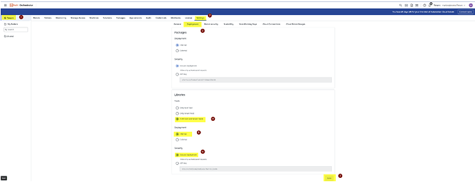 The image shows the "Deployment" settings page of UiPath Orchestrator, highlighting options for package and library deployment, with specific settings and secure deployment options indicated. (Captioned by AI)