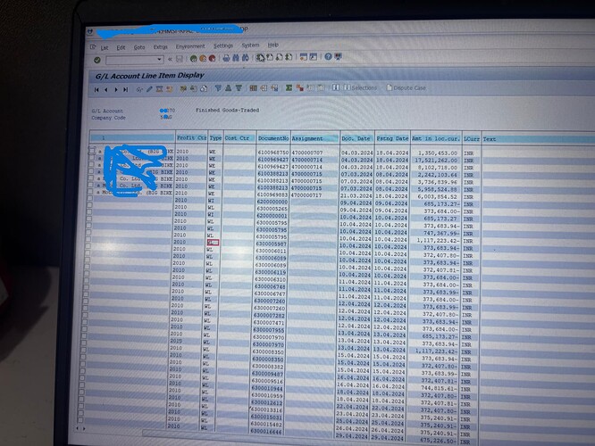 The image shows a computer screen displaying financial data in a general ledger account line item display application. (Captioned by AI)