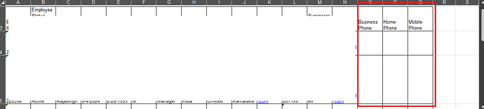 The image shows a section of an Excel spreadsheet with employee details, highlighting columns for Business Phone, Home Phone, and Mobile Phone within a red border. (Captioned by AI)
