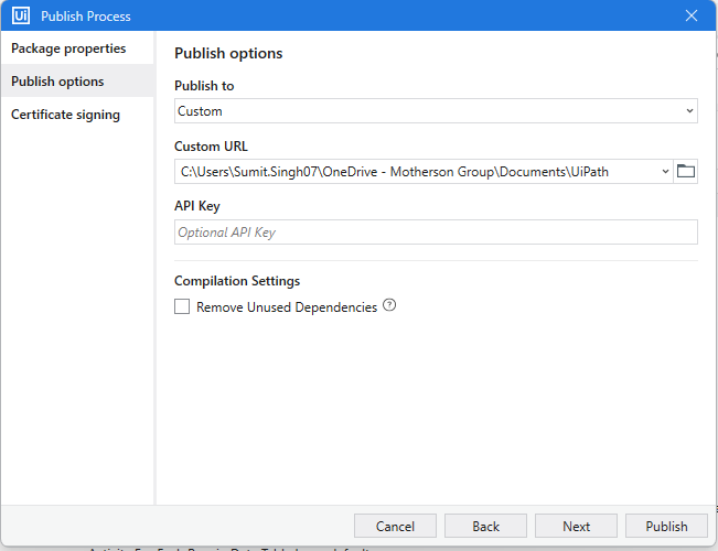 The image shows the "Publish options" screen of the UiPath Publish Process window, where the user can configure publishing settings such as the destination URL and optional API key. (Captioned by AI)