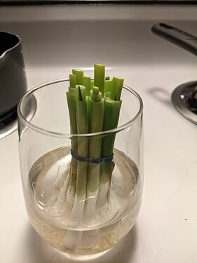 PXL_20230923_043349231