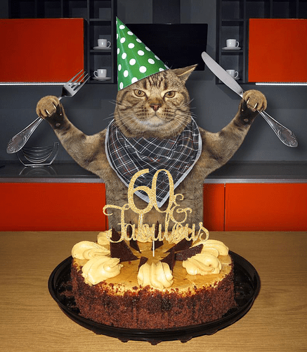 cat-neck-napkin-birthday-hat-knife-fork-eating-chocolate-cake-kitchen-cat-eating-161095304