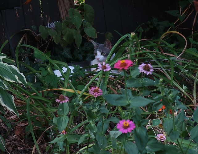 20190806032556_IMG_5588