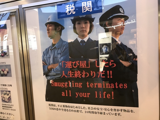 allyourlife