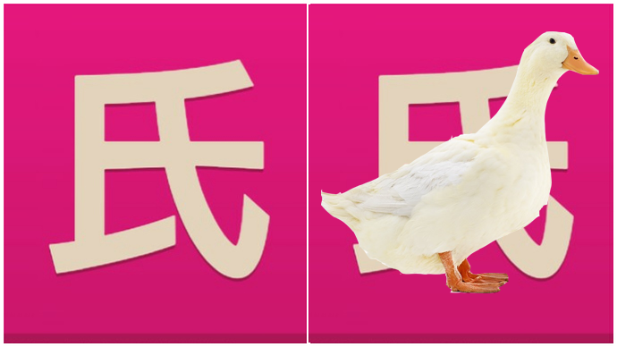 duck