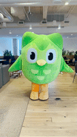 Duolingo GIFs - Find & Share on GIPHY